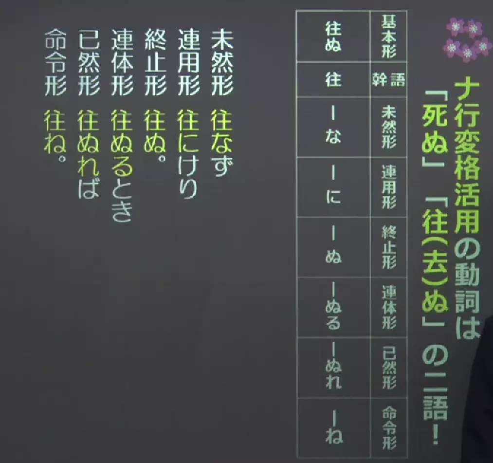 ナ变动词活用
